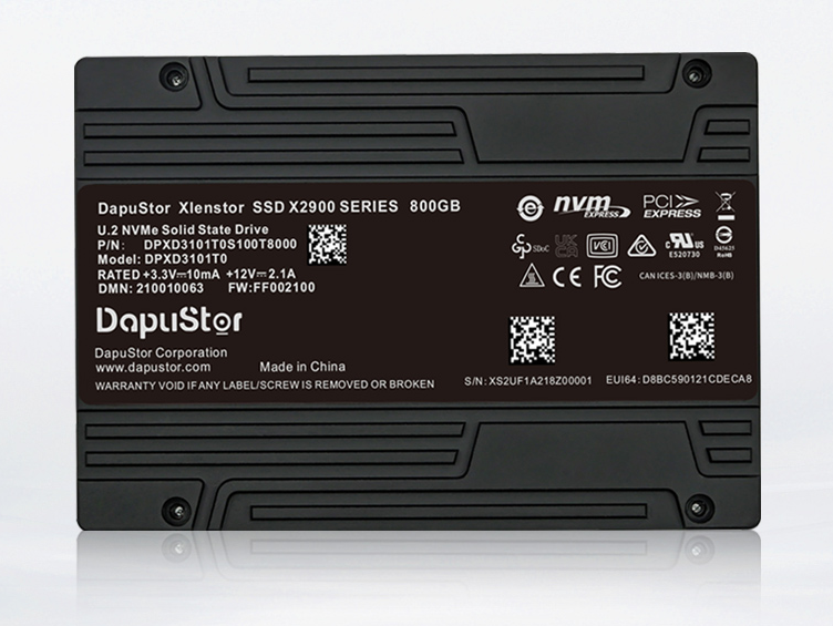 DapuStor?Xlenstor2 X2900系列SSD
